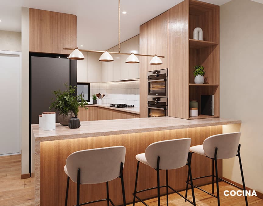 Cocina1